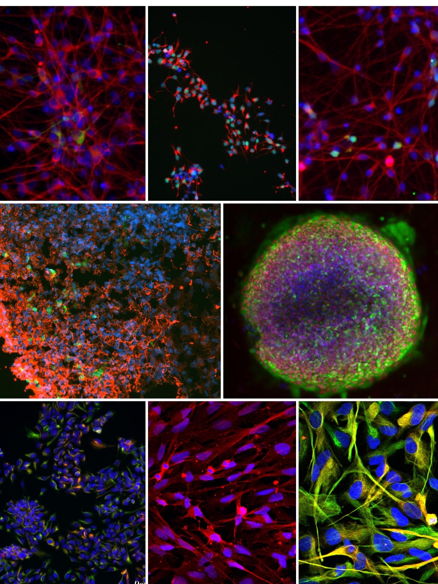 Research image collection